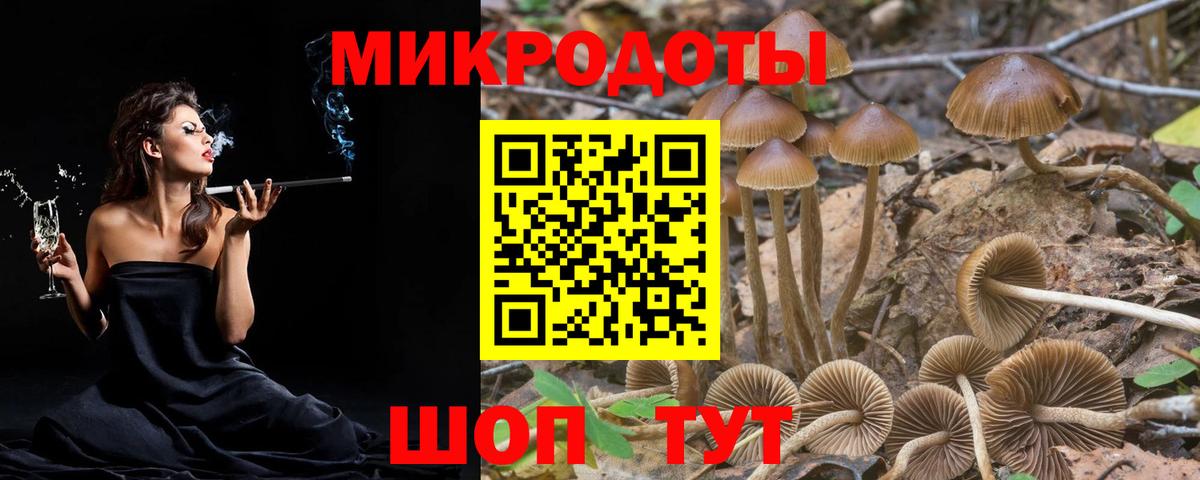Галлюциногенные грибы GOLDEN TEACHER  Вход с VPN  Крымск 